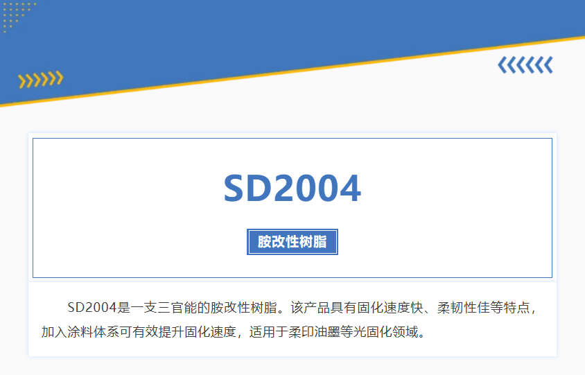 SD2004封面.png